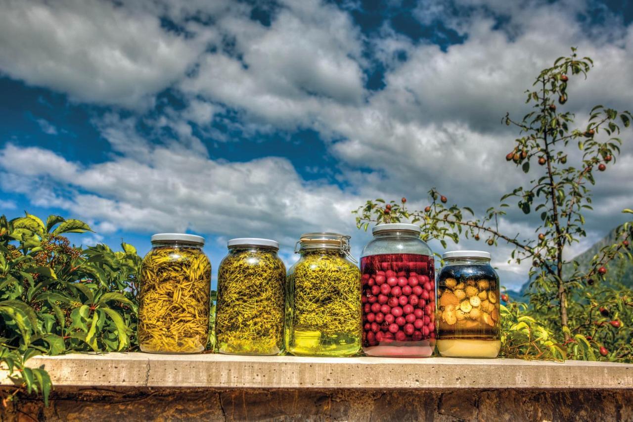 Glamping Kranjc Hotel Kobarid Buitenkant foto